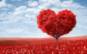 Tipos de amor de parejas