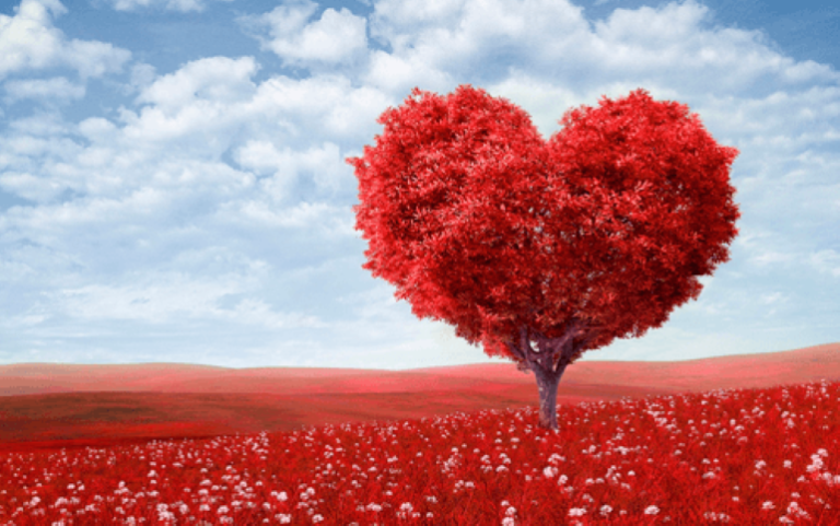 Tipos de amor de parejas